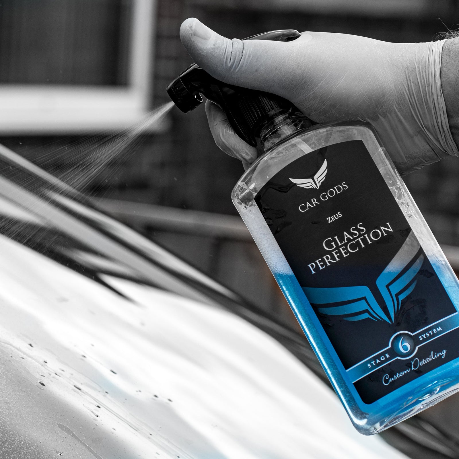 Glass Perfection Cleaner - 5L