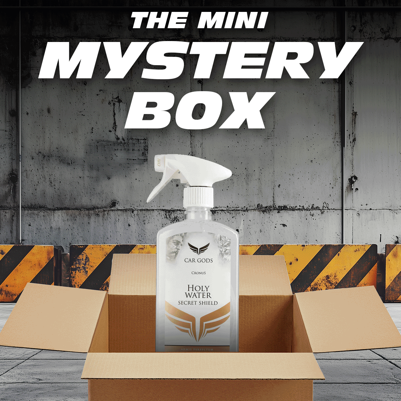 Mini Mystery Box